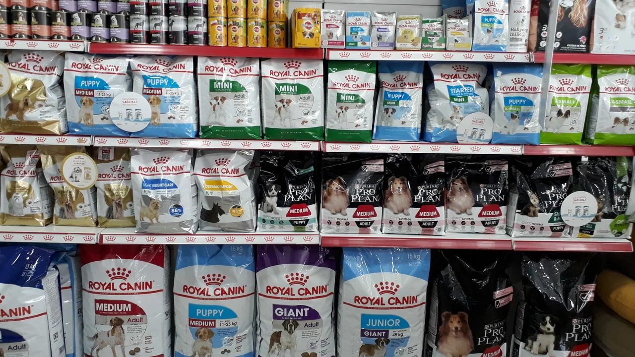Rafımızdan köpek maması ve ödül ürünleri